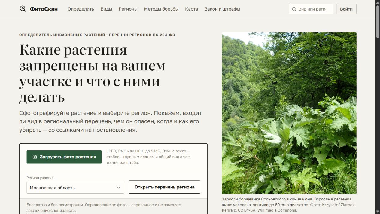ФитоСкан: распознавание растения, справочник и выбор региона